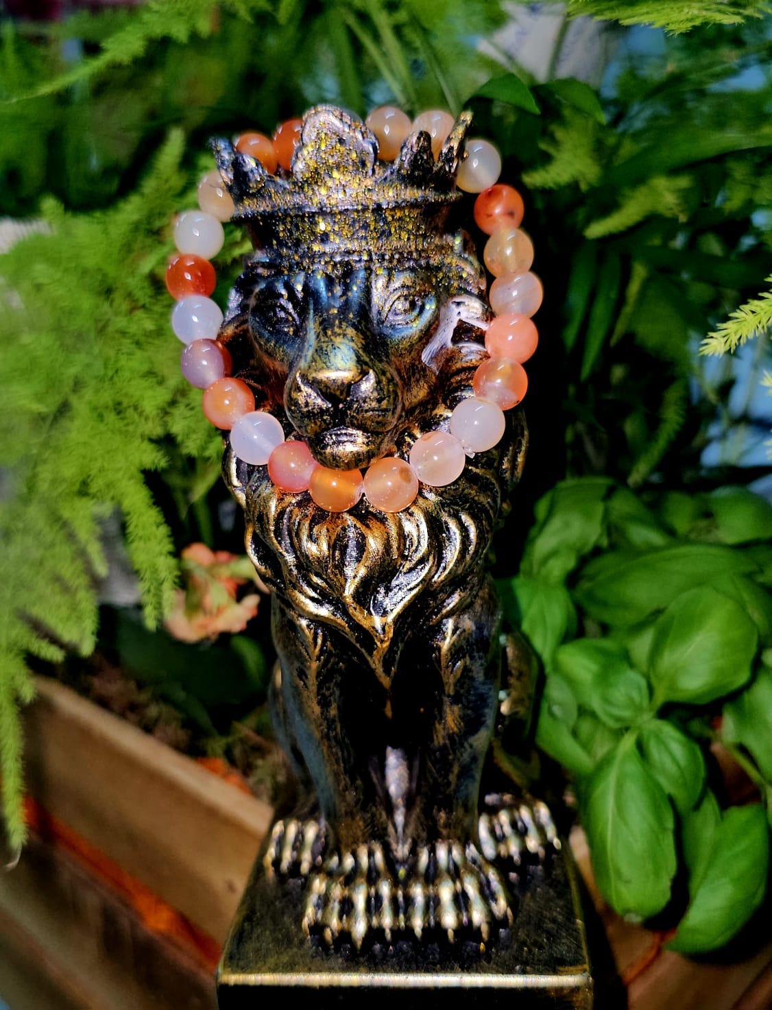 OFRENDA DE LOS DIOSES - Imagen 5